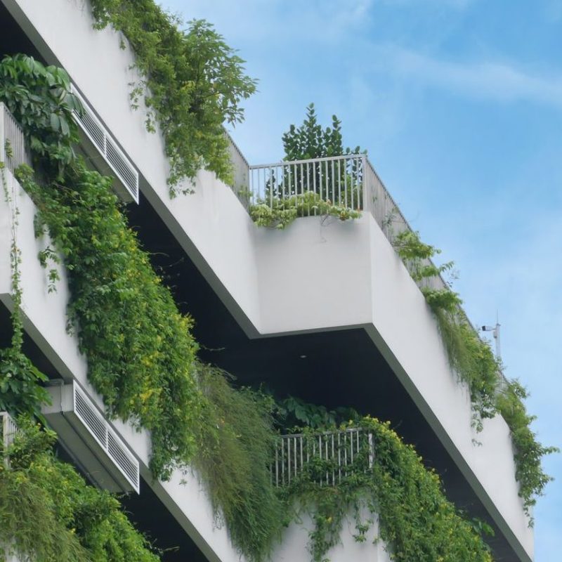 Great Growth! Urban Gardening Around the&nbsp;World